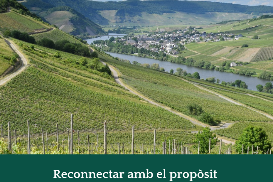 Reconectar proposito imapcto positivo marketing judit